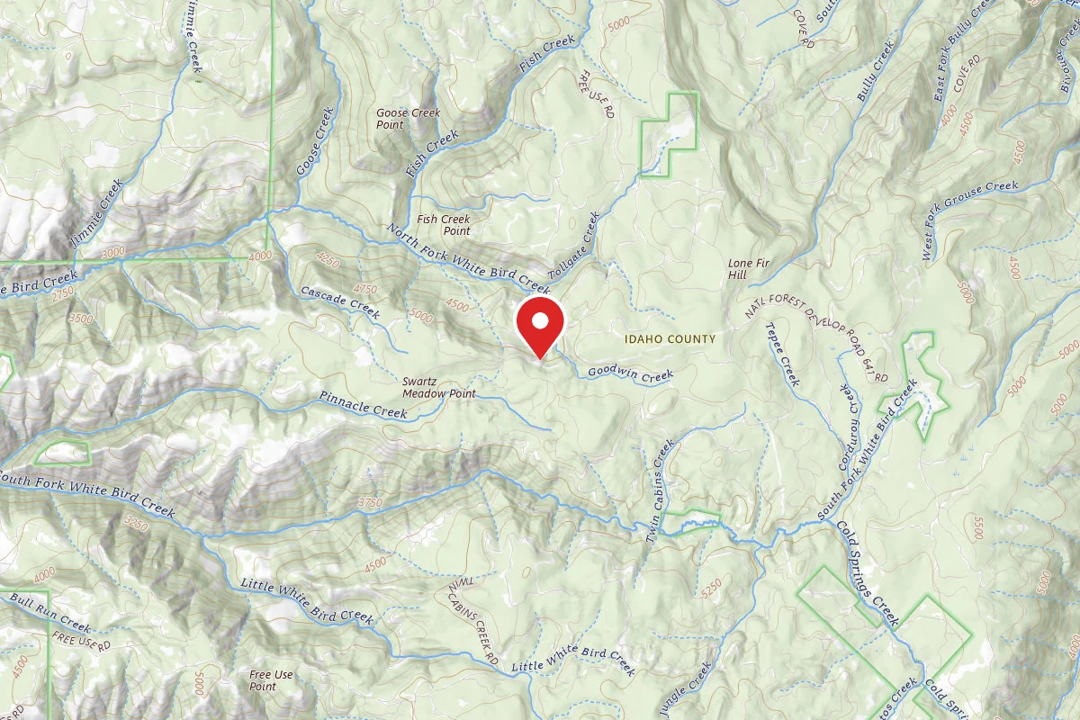 Nez Perce-Clearwater Dispersed Campsite CW479BRD-001