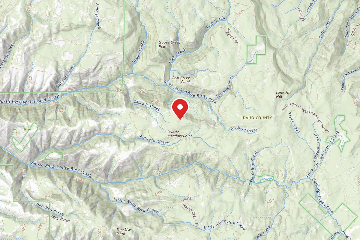 Nez Perce-Clearwater Dispersed Campsite CW479RD-001