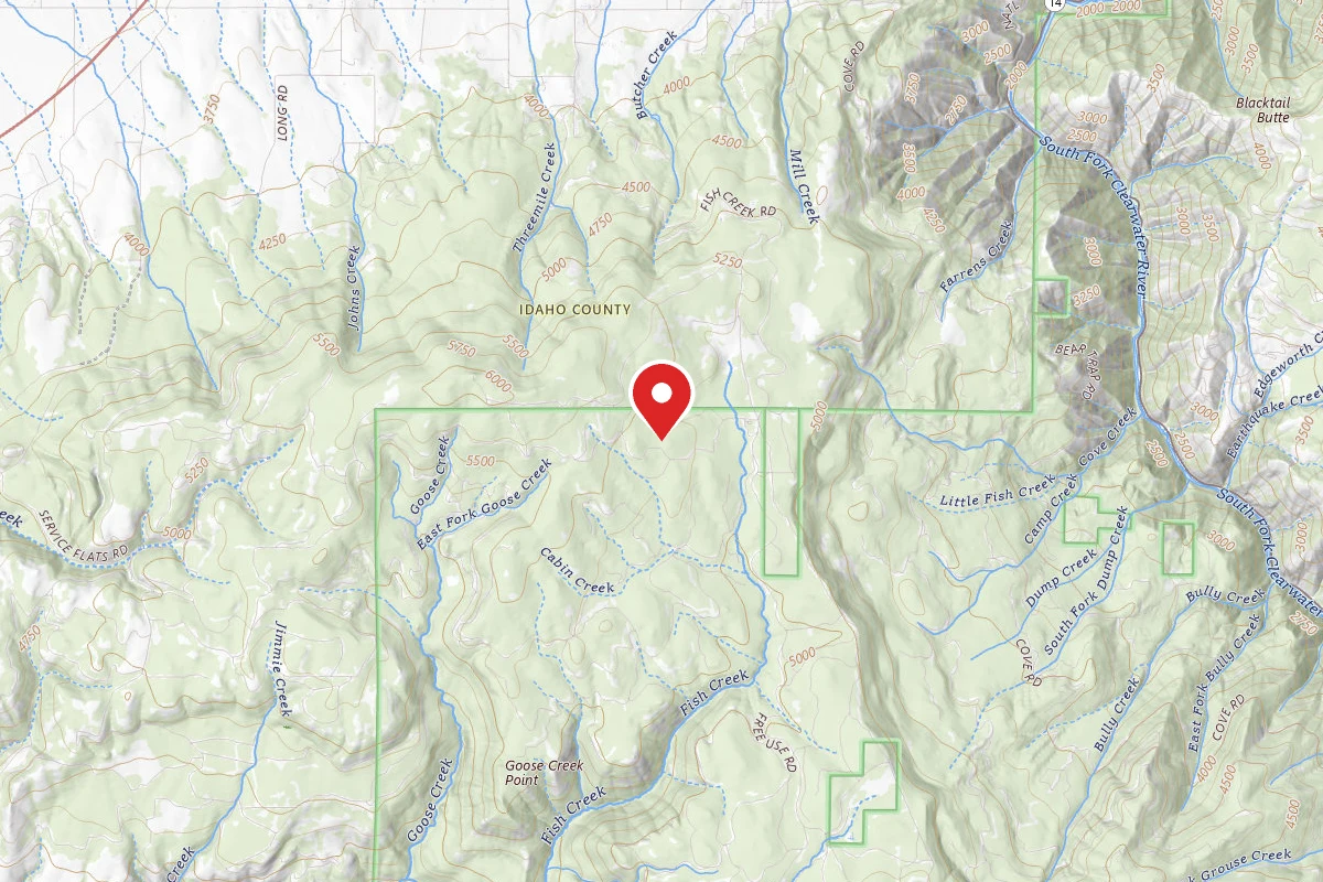 Nez Perce-Clearwater Dispersed Campsite CW4600RD-002