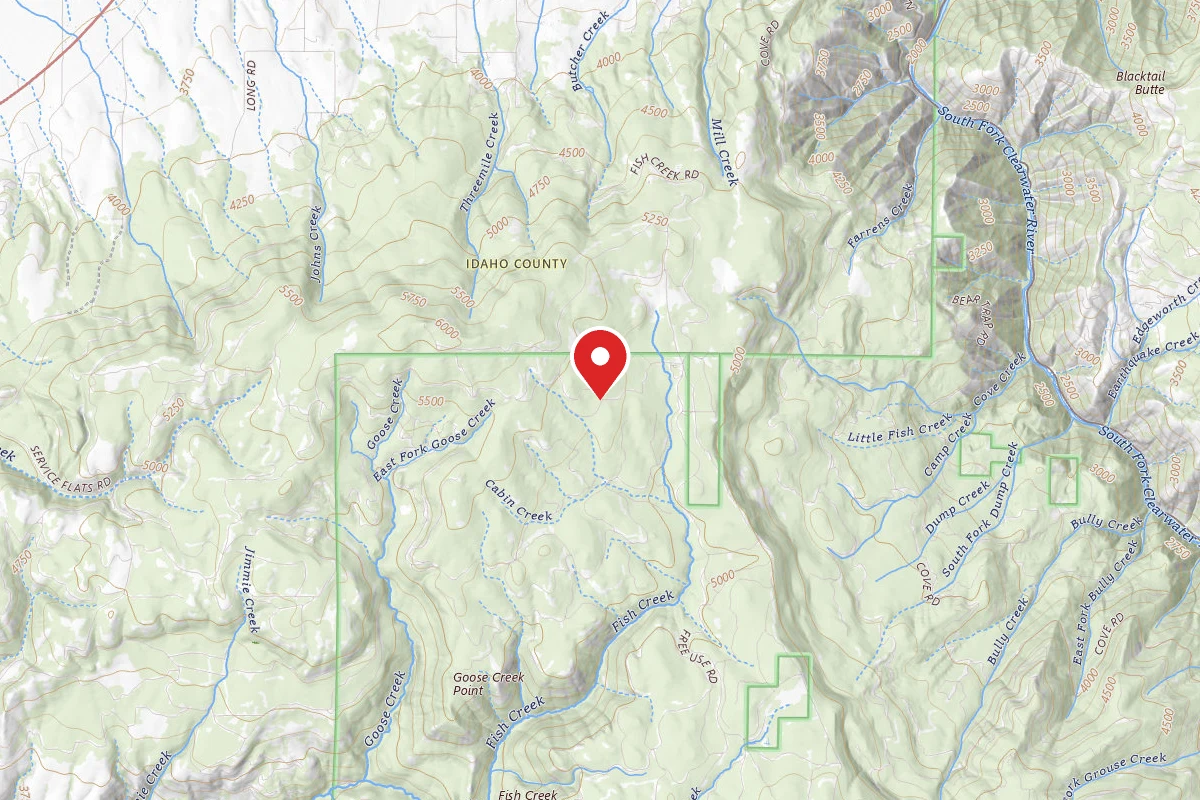 Nez Perce-Clearwater Dispersed Campsite CW4600CRD-001