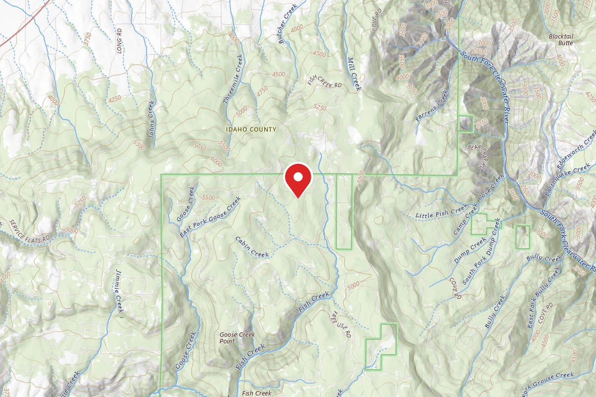 Nez Perce-Clearwater Dispersed Campsite CW4600RD-001