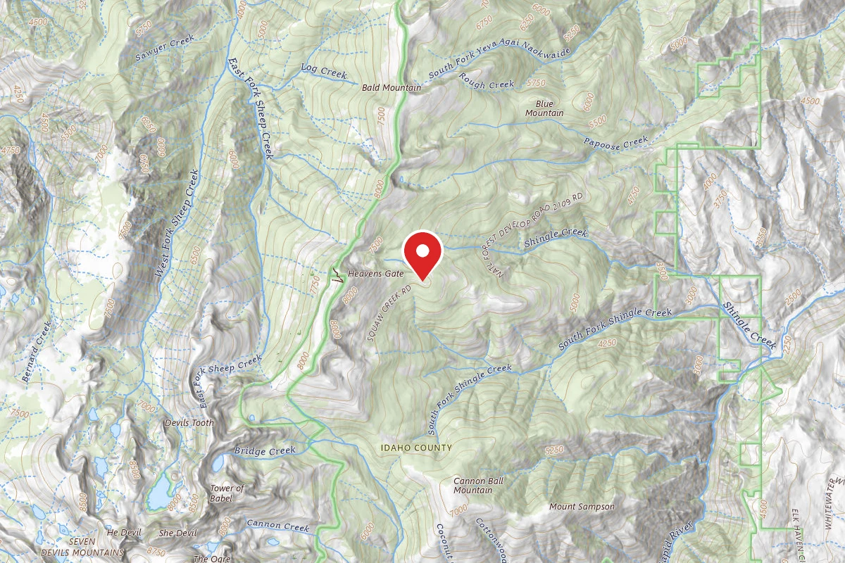 Nez Perce-Clearwater Dispersed Campsite SR517RD-001