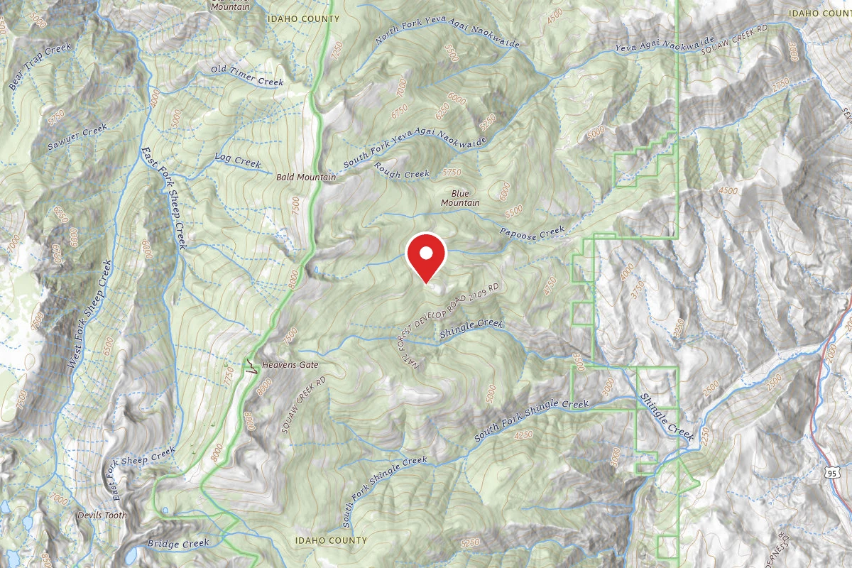 Nez Perce-Clearwater Dispersed Campsite SR517FRD-001