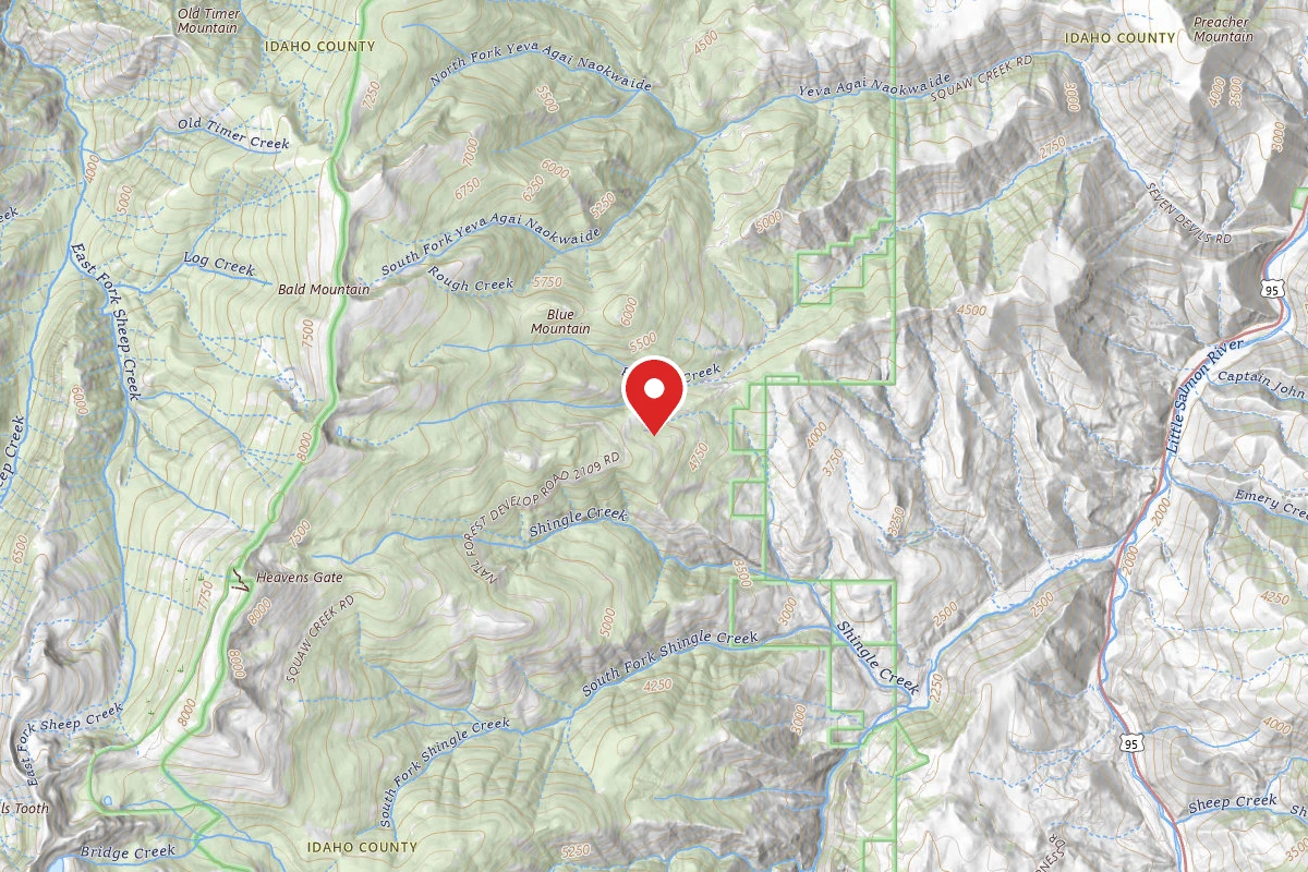Nez Perce-Clearwater Dispersed Campsite SR517DRD-001
