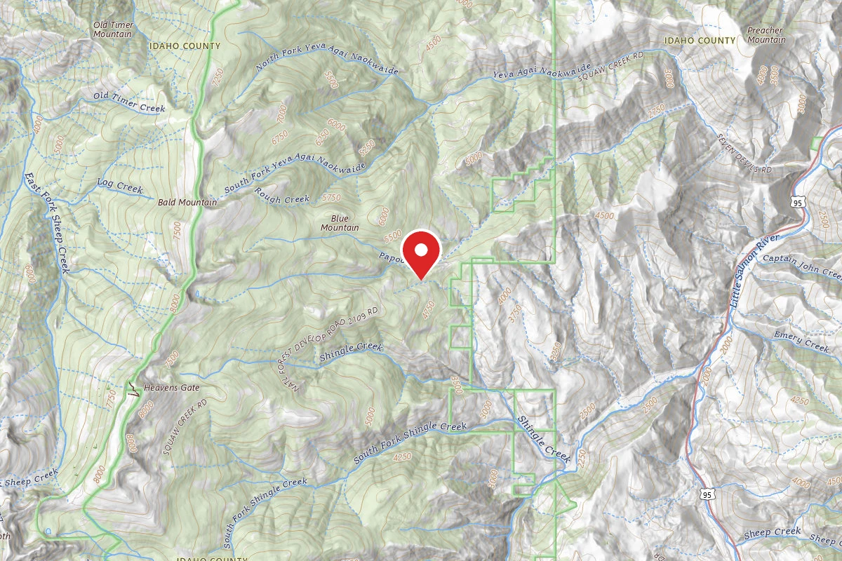 Nez Perce-Clearwater Dispersed Campsite SR76301RD-001