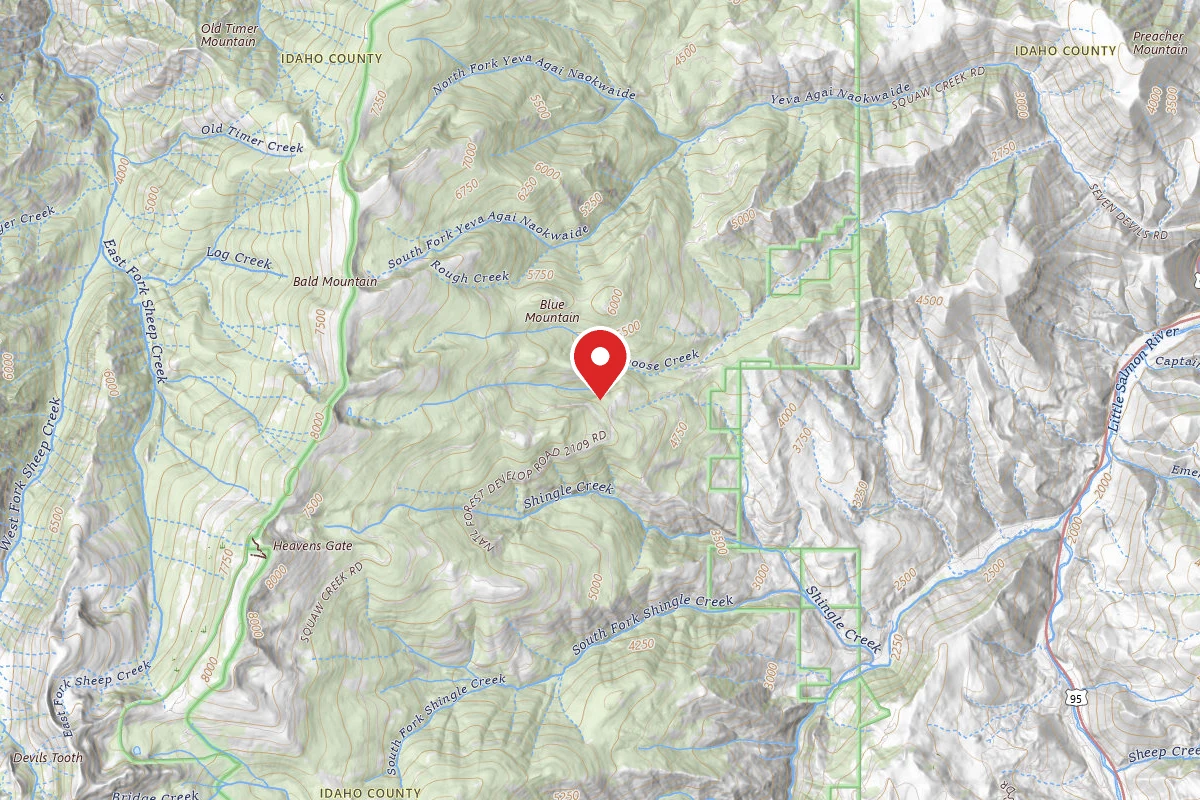 Nez Perce-Clearwater Dispersed Campsite SR76006RD-001