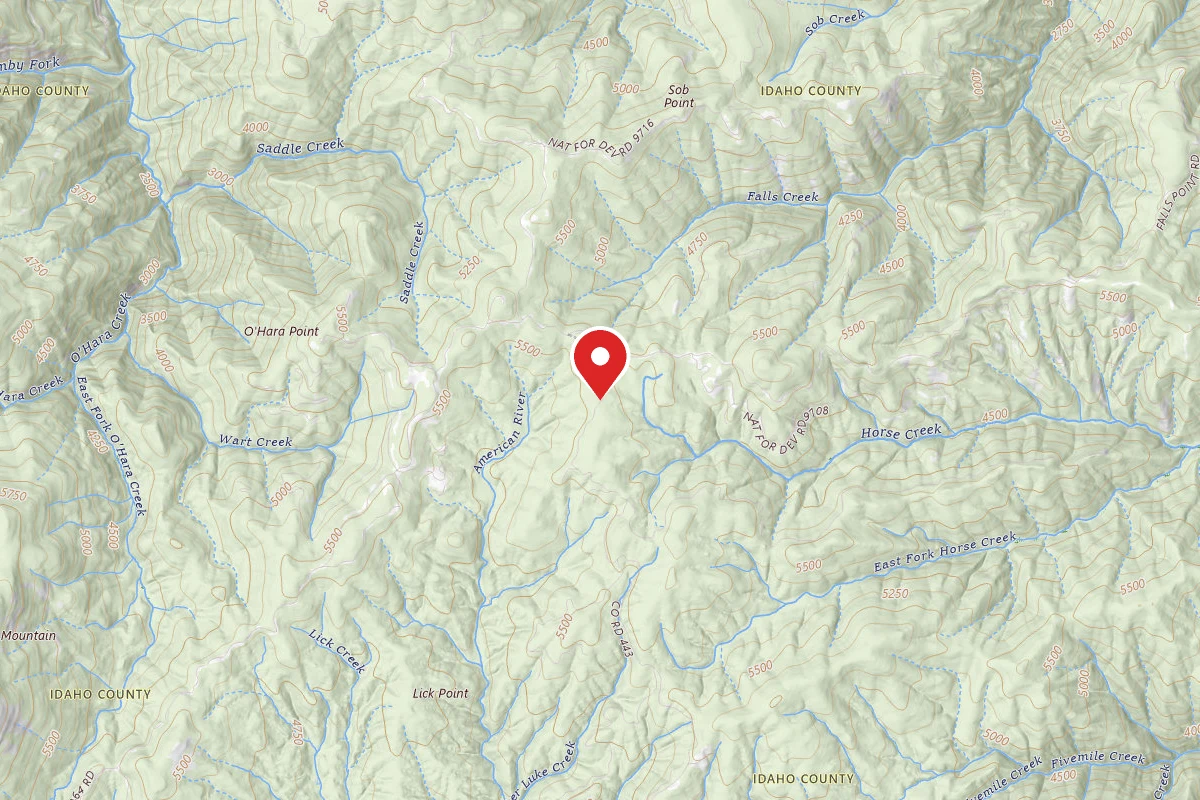 Nez Perce-Clearwater Dispersed Campsite RR443RD-004