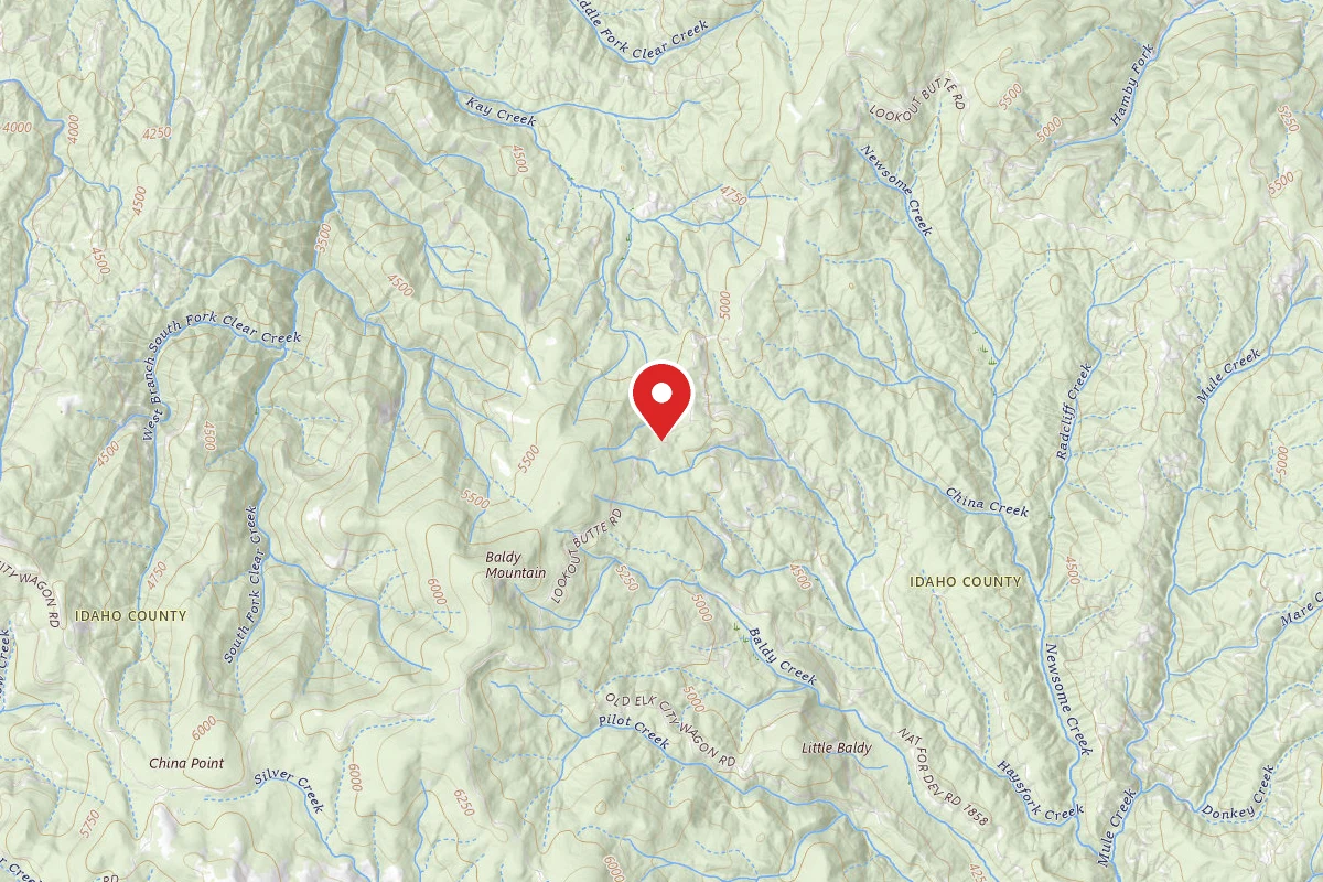 Nez Perce-Clearwater Dispersed Campsite RR464RD-014