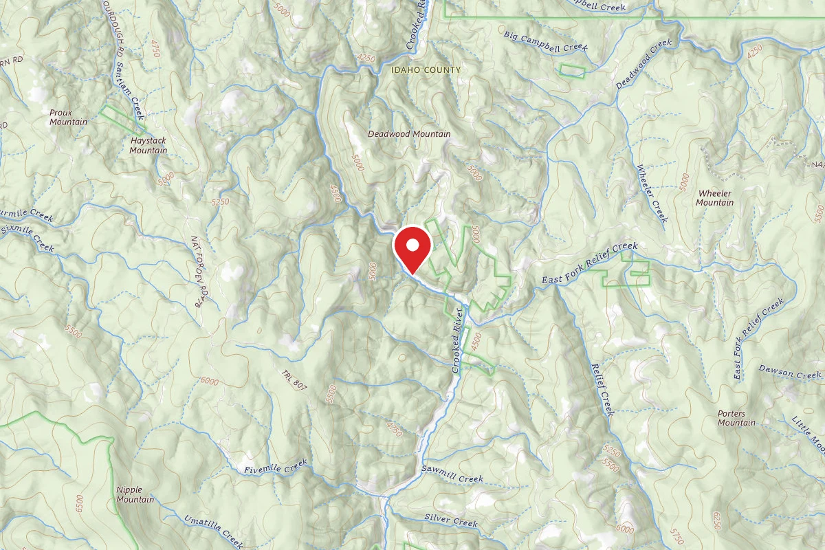 Nez Perce-Clearwater Dispersed Campsite RR233RD-010B