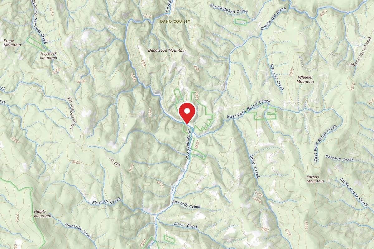 Nez Perce-Clearwater Dispersed Campsite RR233RD-012A