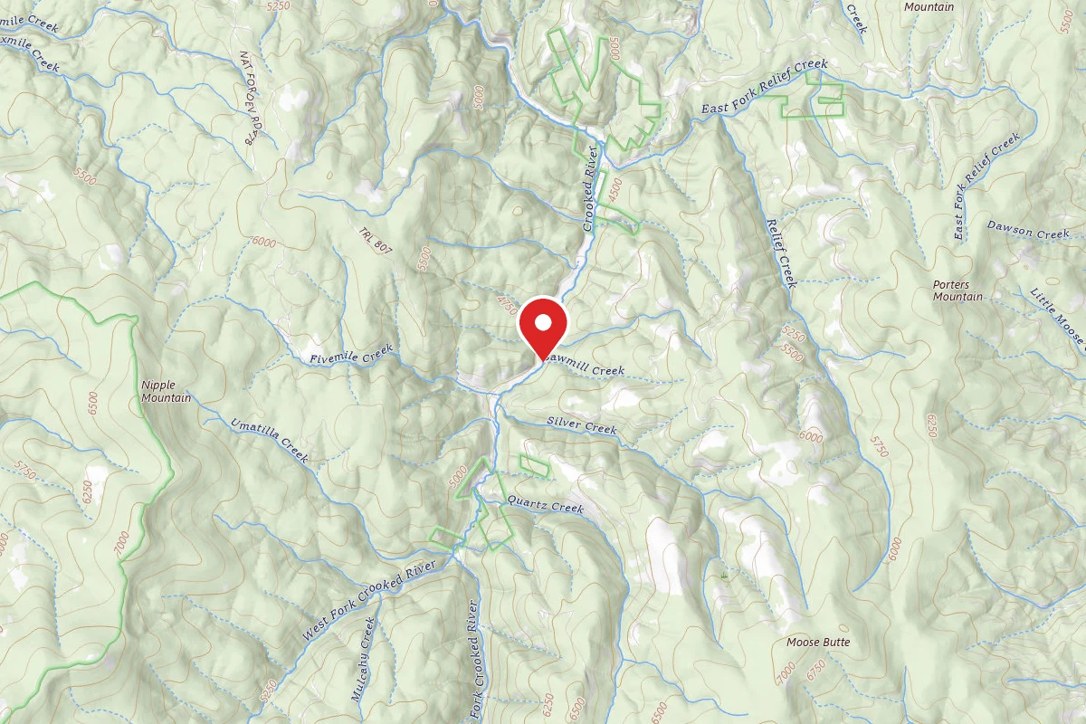 Nez Perce-Clearwater Dispersed Campsite RR233RD-016