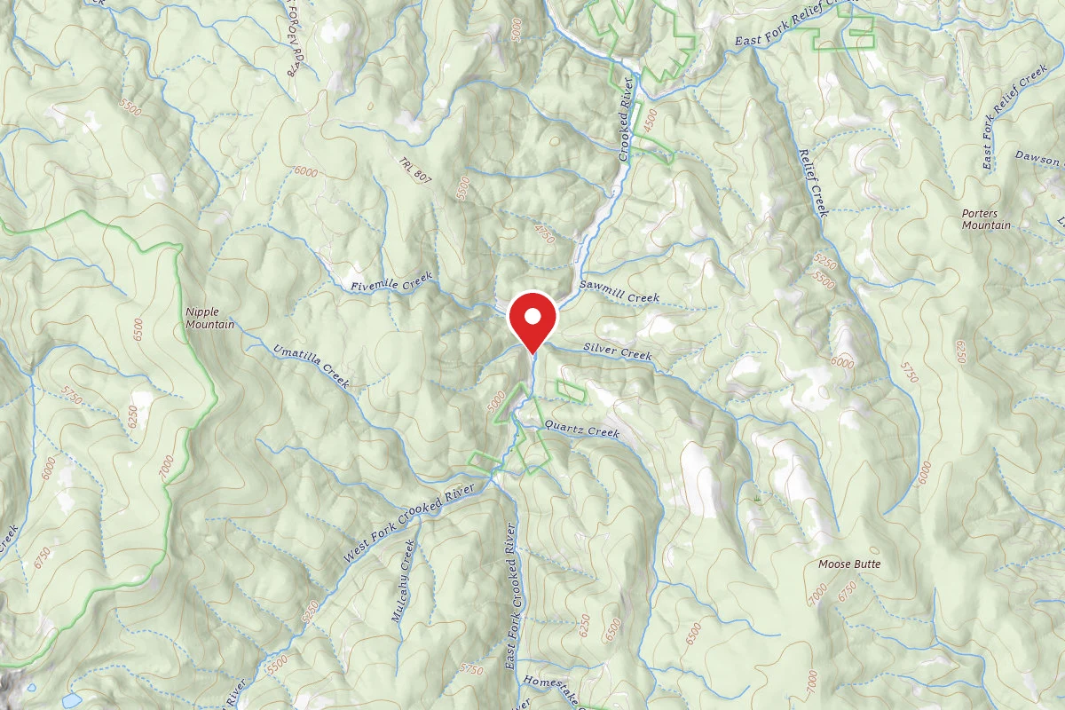 Nez Perce-Clearwater Dispersed Campsite RR233RD-018B