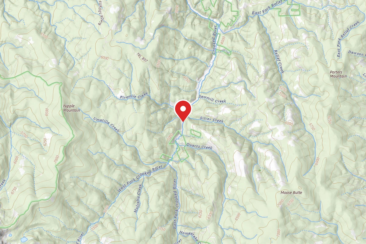 Nez Perce-Clearwater Dispersed Campsite RR233RD-018C