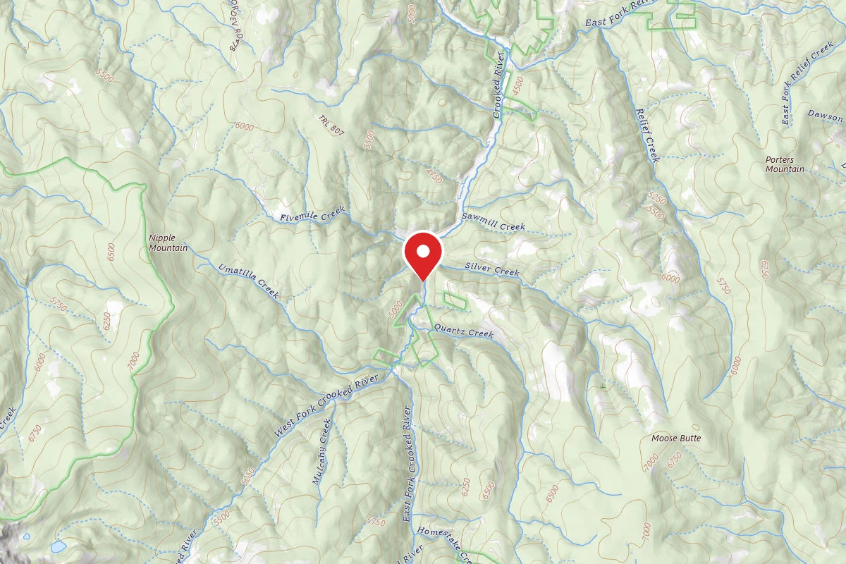 Nez Perce-Clearwater Dispersed Campsite RR233RD-019