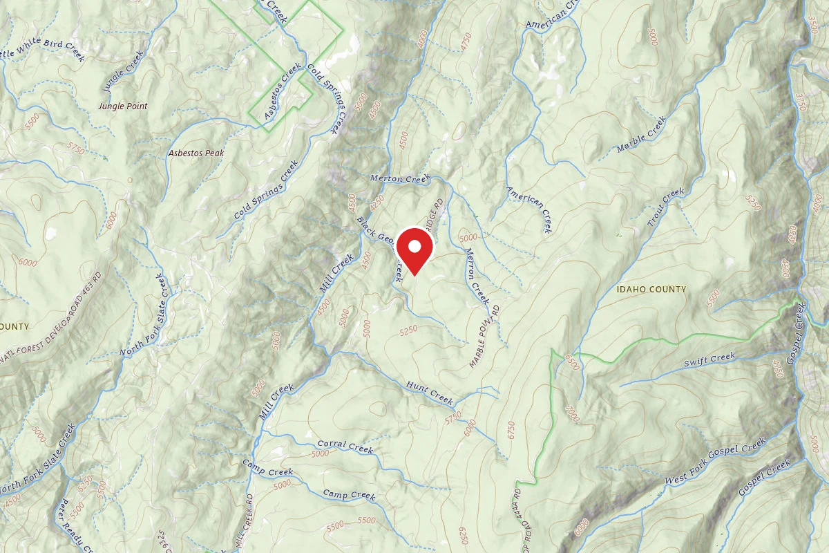 Nez Perce-Clearwater Dispersed Campsite CW76887RD-001