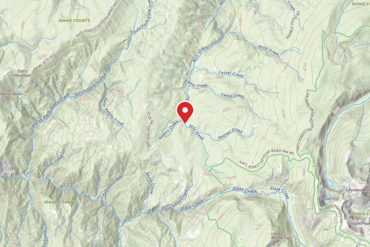 Nez Perce-Clearwater Dispersed Campsite SR309RD-002