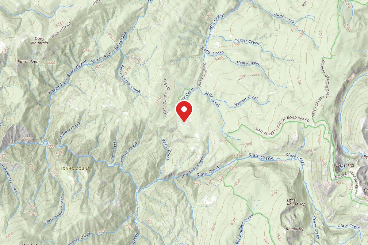 Nez Perce-Clearwater Dispersed Campsite SR309RD-003