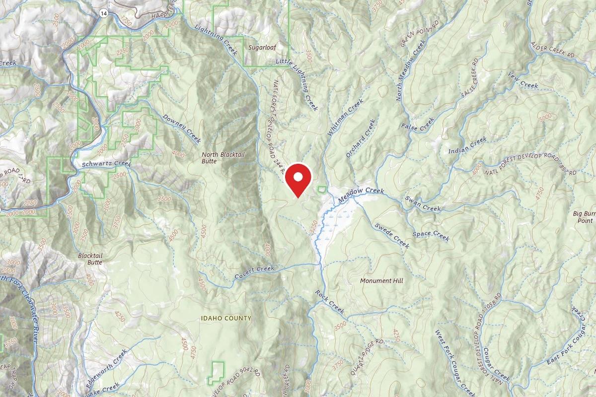 Nez Perce-Clearwater Dispersed Campsite CW451RD-005