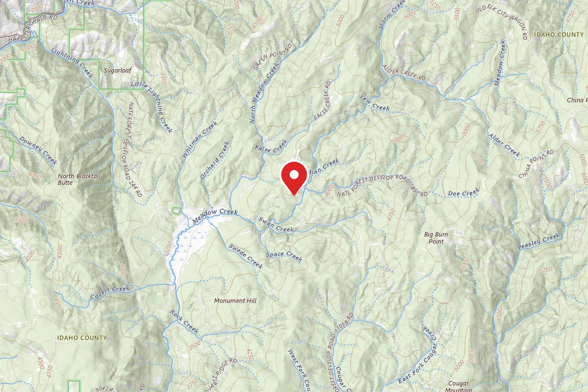 Nez Perce-Clearwater Dispersed Campsite CW244RD-004