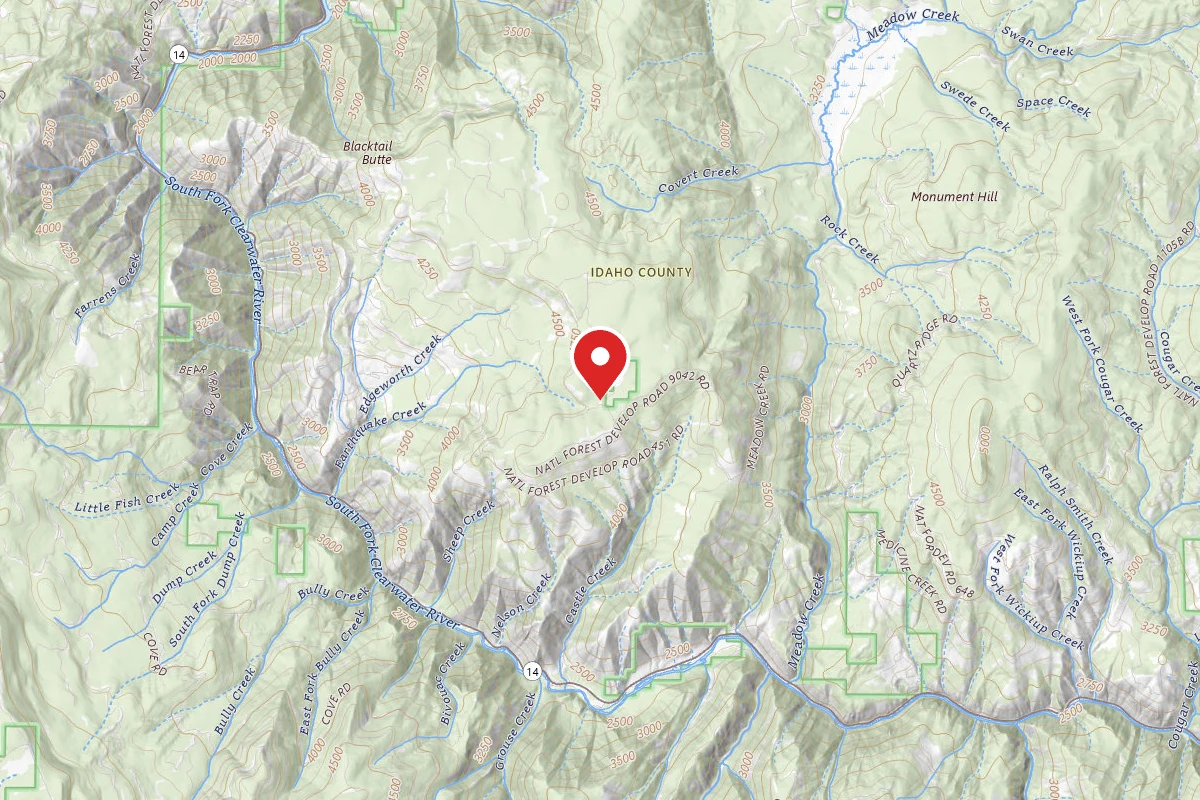 Nez Perce-Clearwater Dispersed Campsite CW76808ARD-001