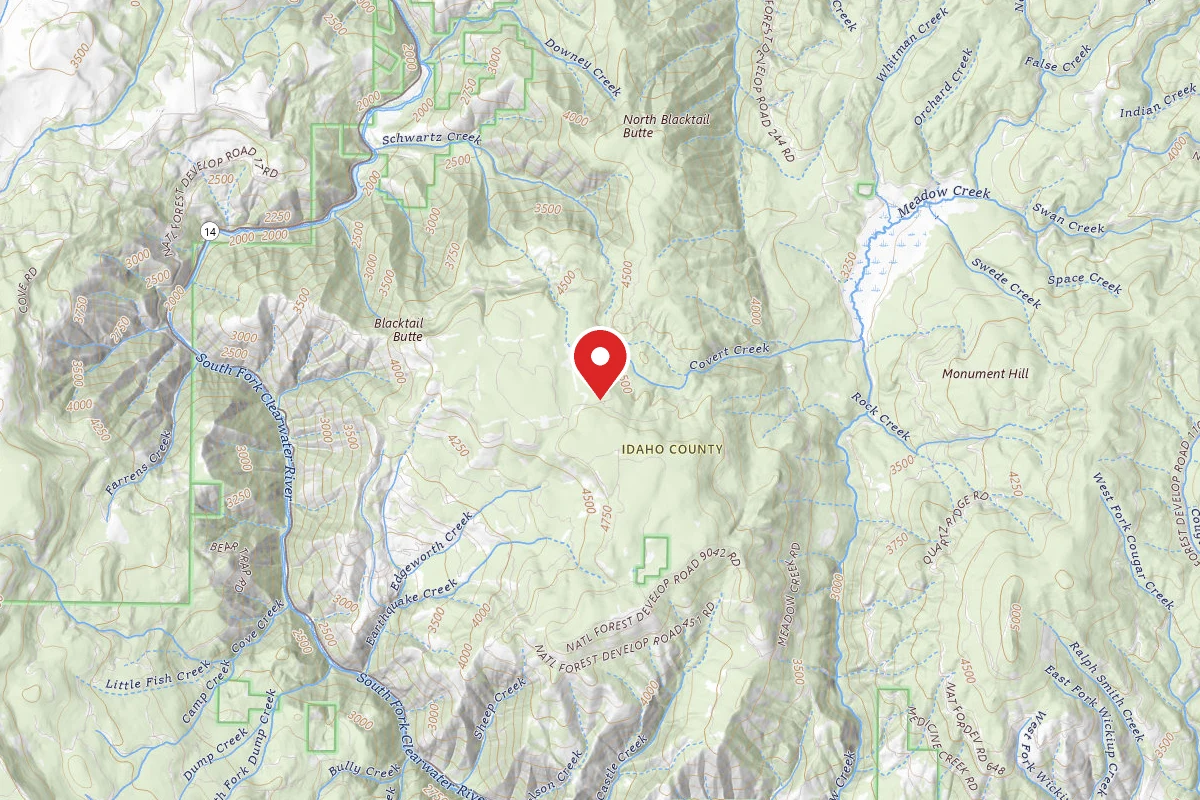 Nez Perce-Clearwater Dispersed Campsite CW451RD-003