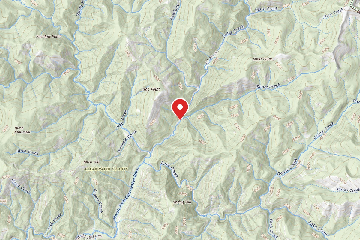 Nez Perce-Clearwater Dispersed Campsite NF250RD-085