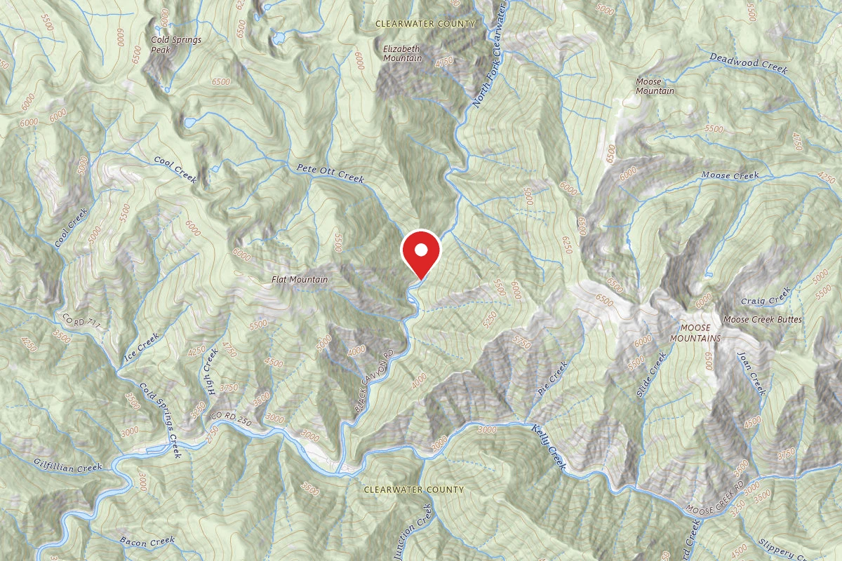 Nez Perce-Clearwater Dispersed Campsite NF250RD-068
