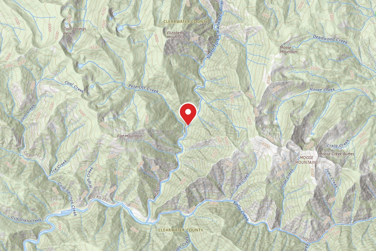 Nez Perce-Clearwater Dispersed Campsite NF250RD-069