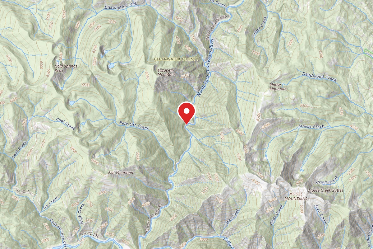 Nez Perce-Clearwater Dispersed Campsite NF250RD-071