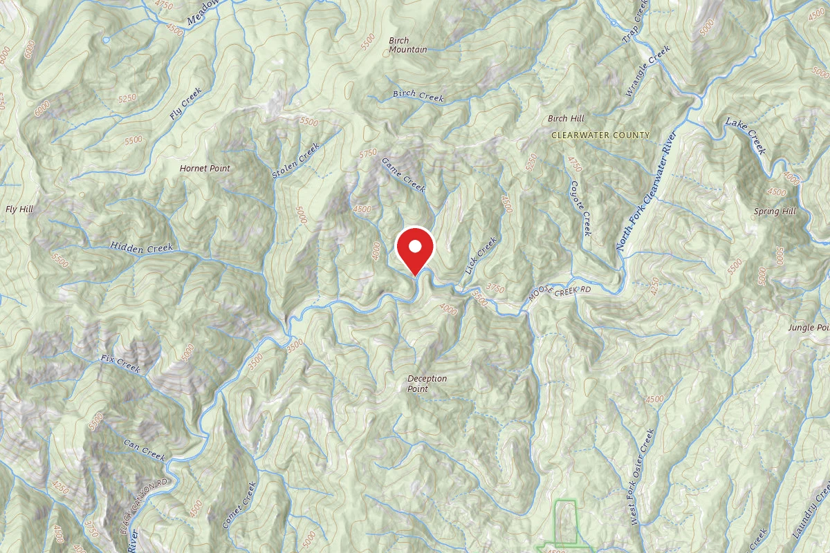 Nez Perce-Clearwater Dispersed Campsite NF250RD-079