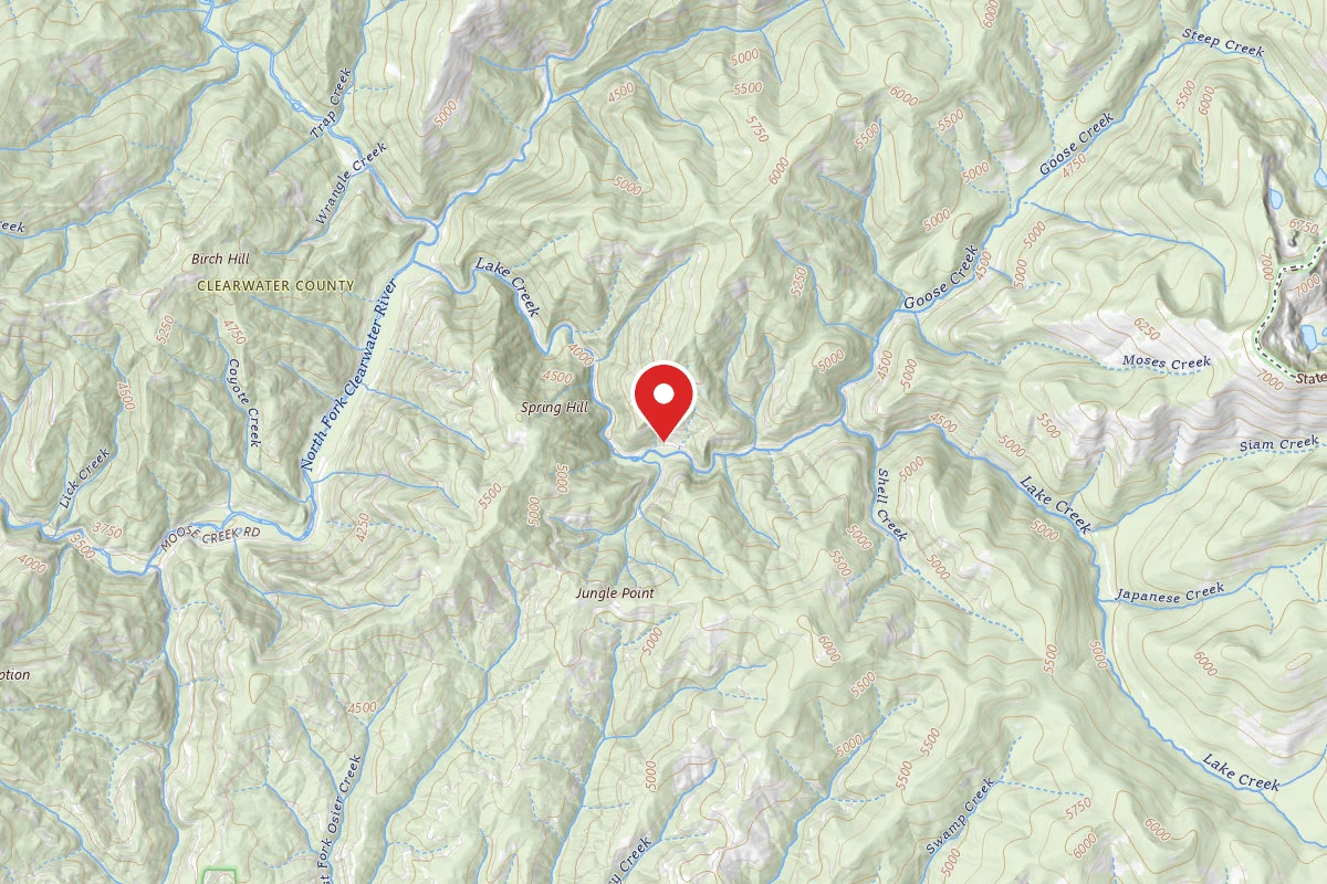 Nez Perce-Clearwater Dispersed Campsite NF295RD-001