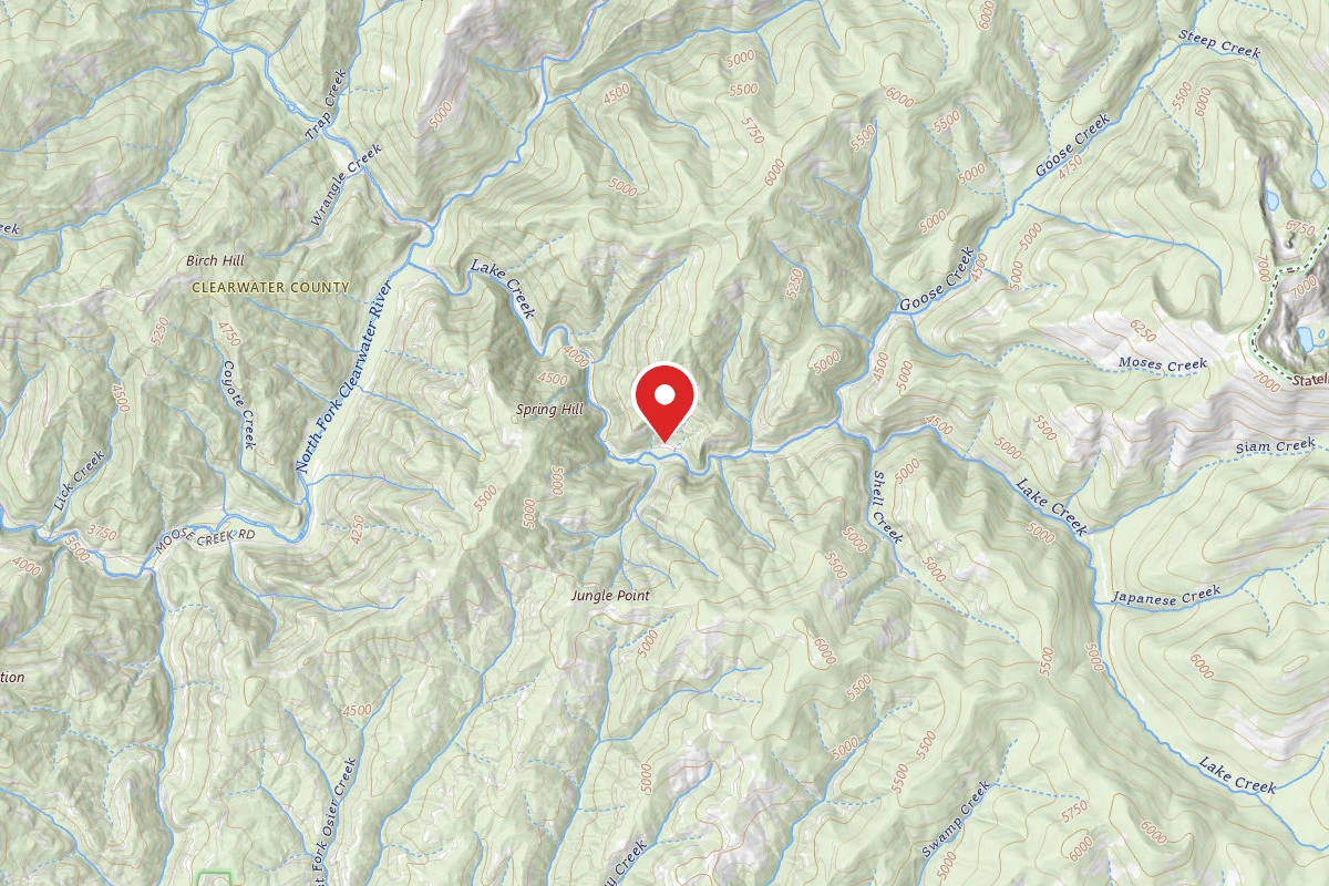 Nez Perce-Clearwater Dispersed Campsite NF295RD-002