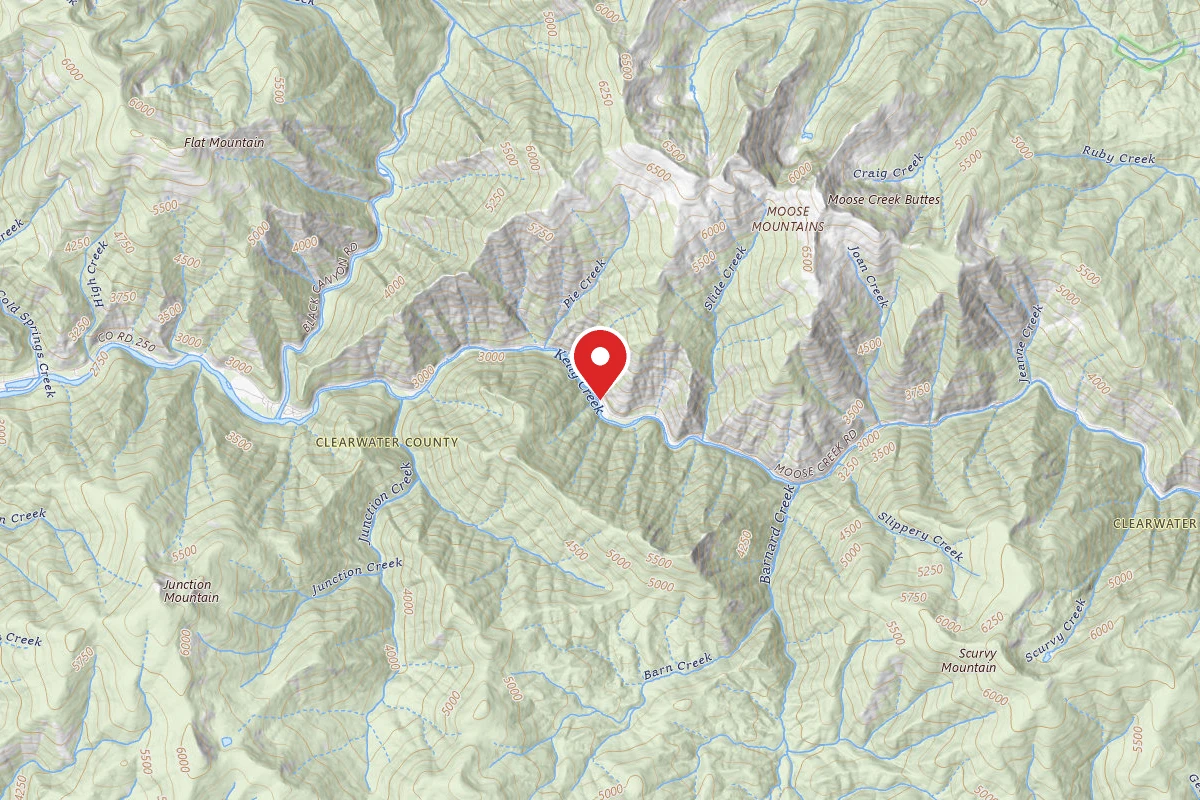 Nez Perce-Clearwater Dispersed Campsite NF255RD-004