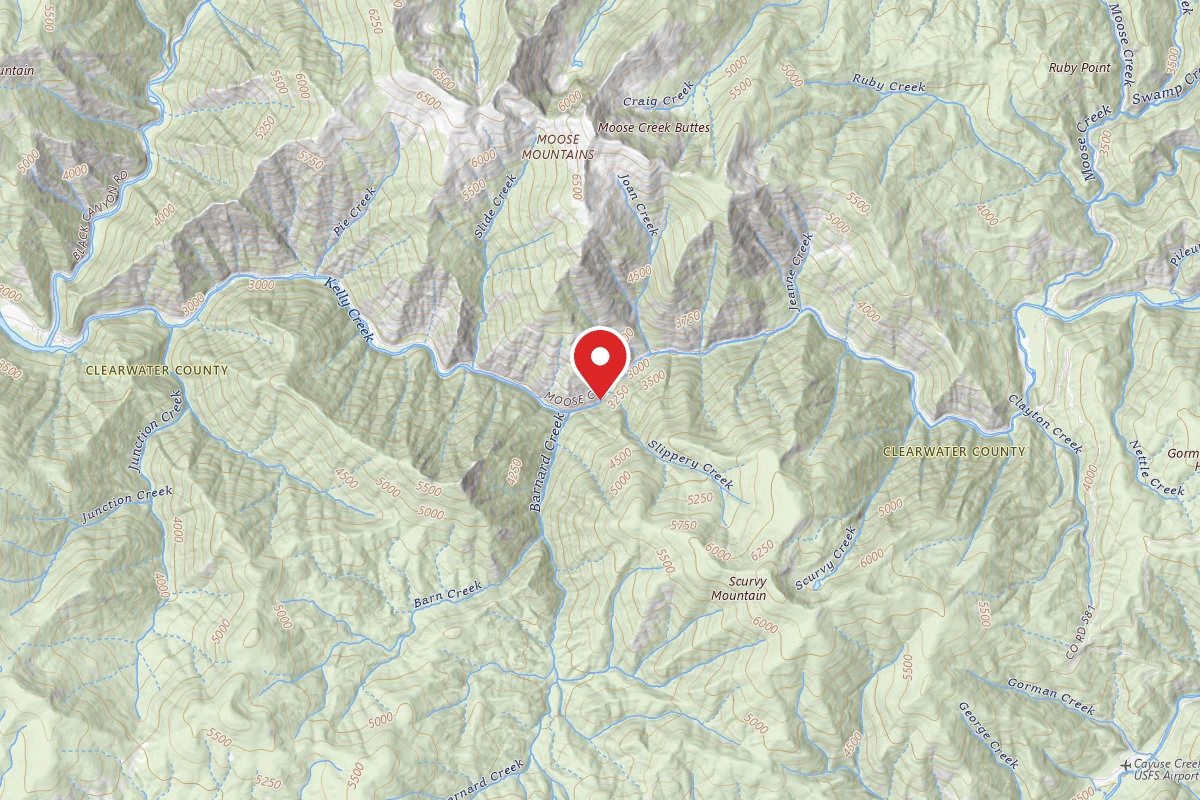 Nez Perce-Clearwater Dispersed Campsite NF255RD-007