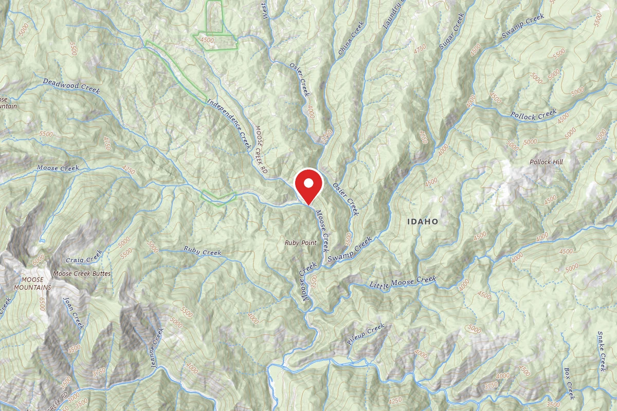 Nez Perce-Clearwater Dispersed Campsite NF255RD-014