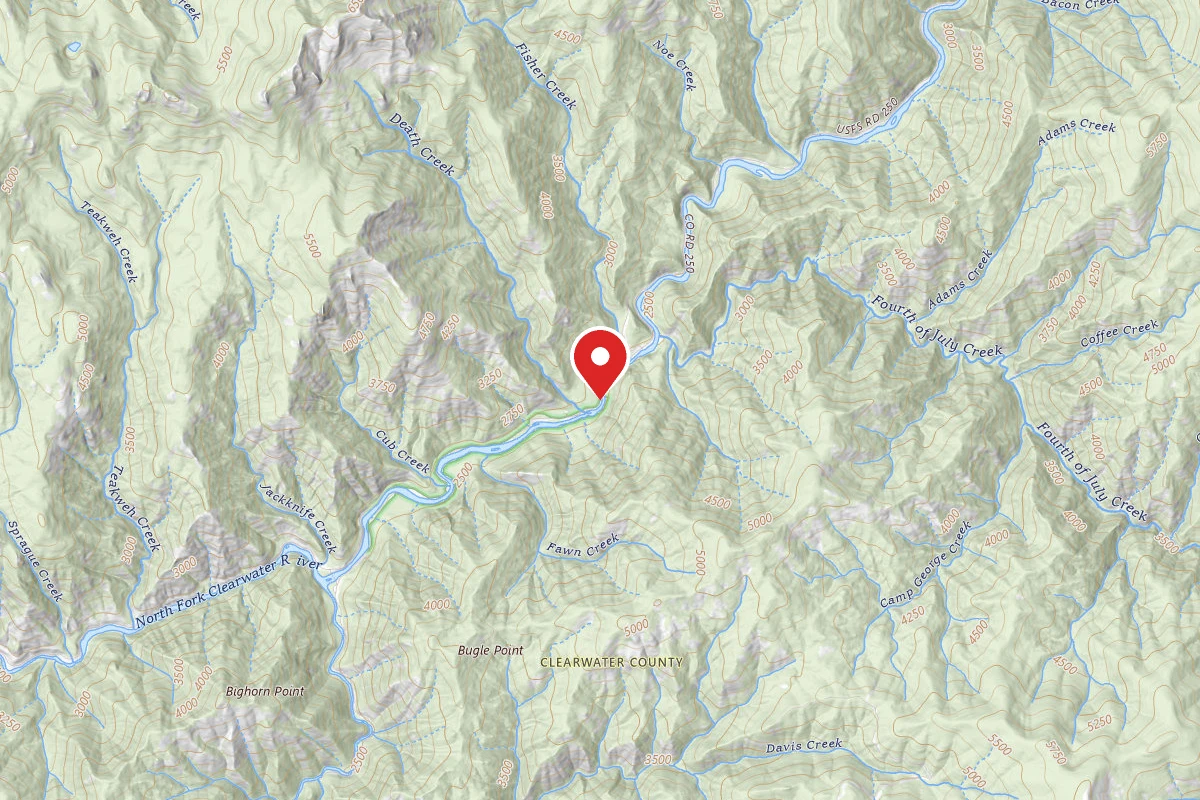 Nez Perce-Clearwater Dispersed Campsite NF250RD-051