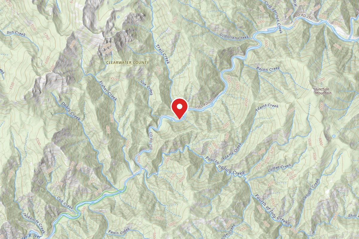 Nez Perce-Clearwater Dispersed Campsite NF250RD-055