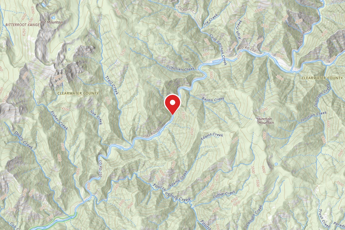 Nez Perce-Clearwater Dispersed Campsite NF250RD-058