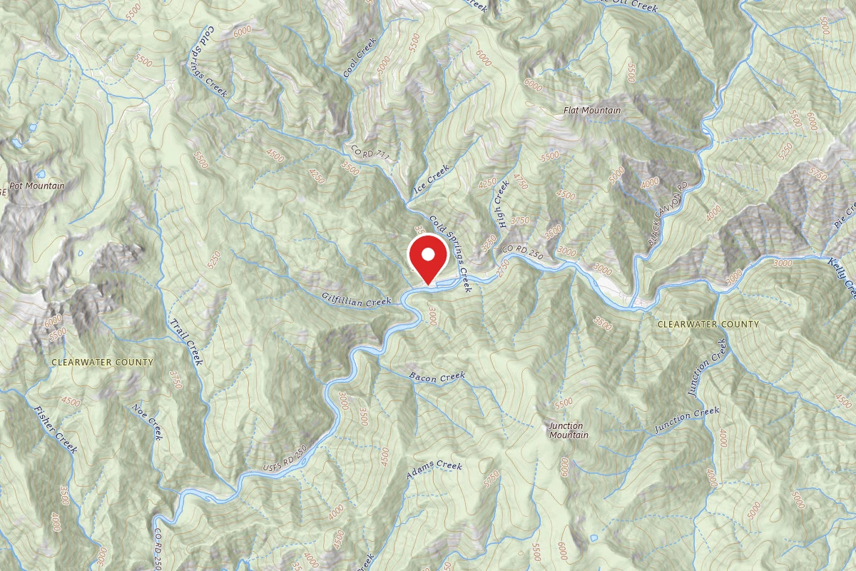 Nez Perce-Clearwater Dispersed Campsite NF250RD-061A