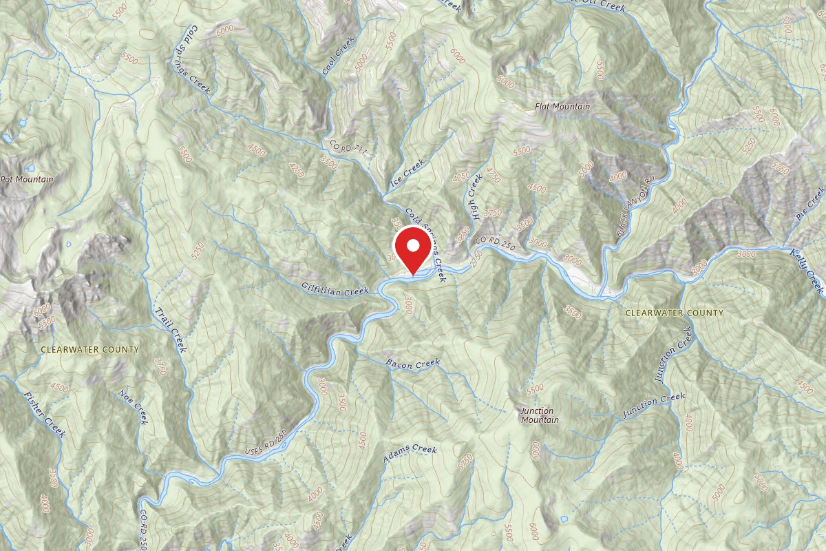 Nez Perce-Clearwater Dispersed Campsite NF250RD-061B