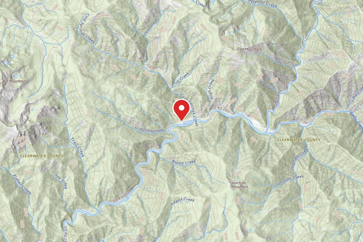 Nez Perce-Clearwater Dispersed Campsite NF250RD-062