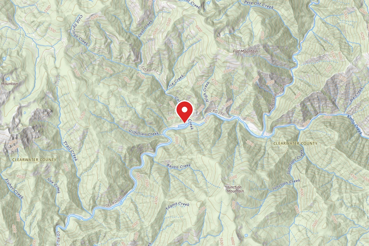 Nez Perce-Clearwater Dispersed Campsite NF250RD-065