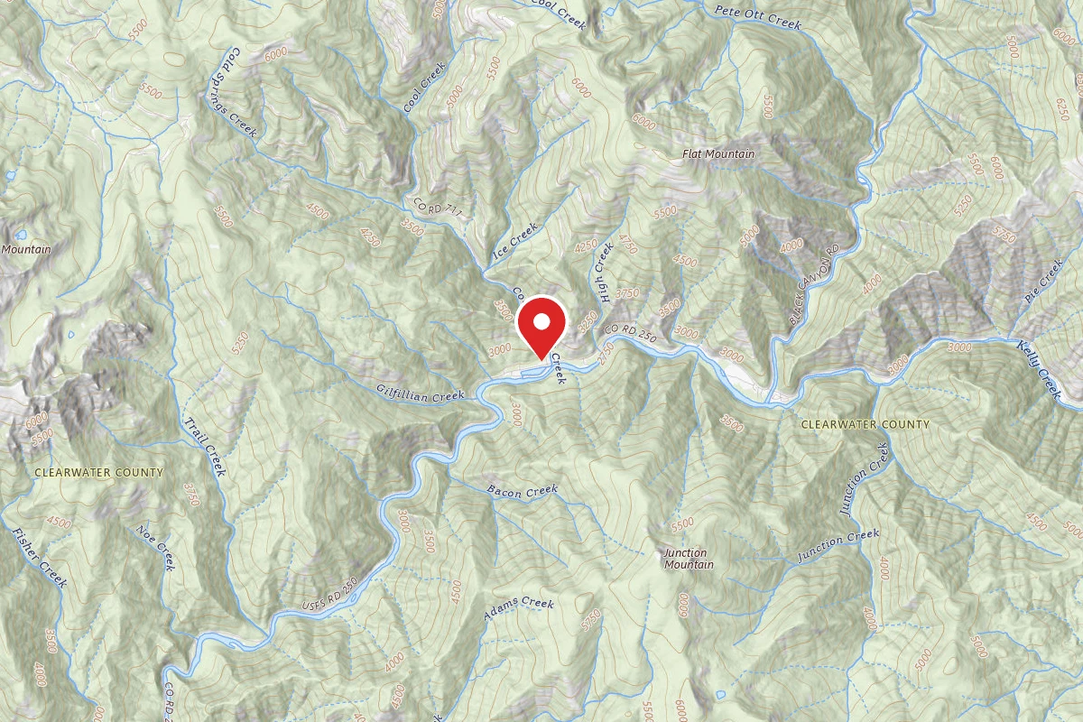 Nez Perce-Clearwater Dispersed Campsite NF250ERD-001B