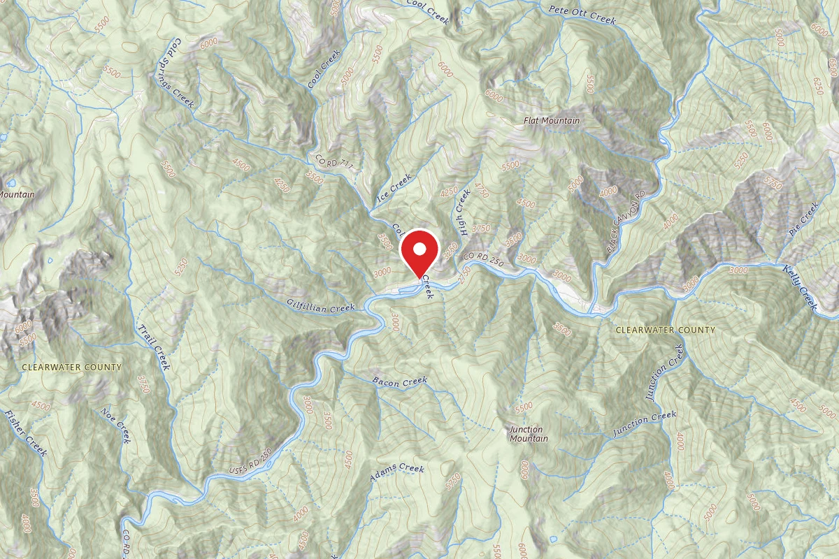 Nez Perce-Clearwater Dispersed Campsite NF250ERD-001D