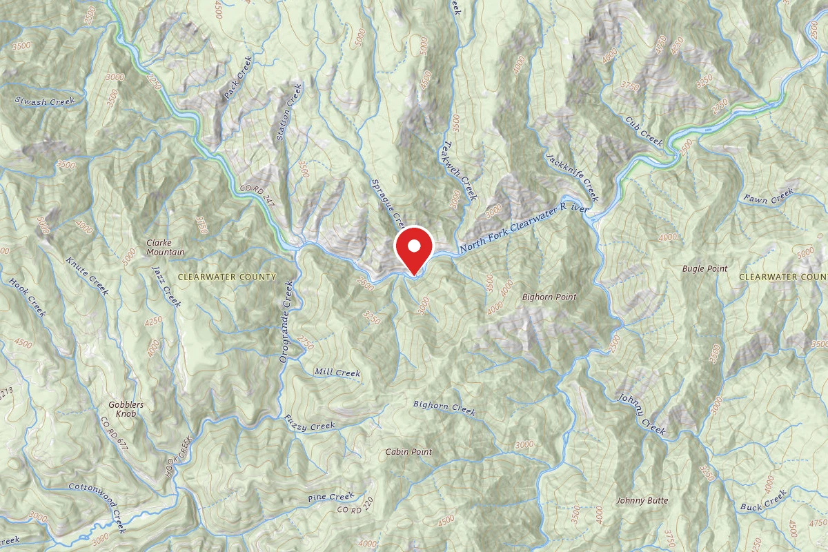 Nez Perce-Clearwater Dispersed Campsite NF250RD-037