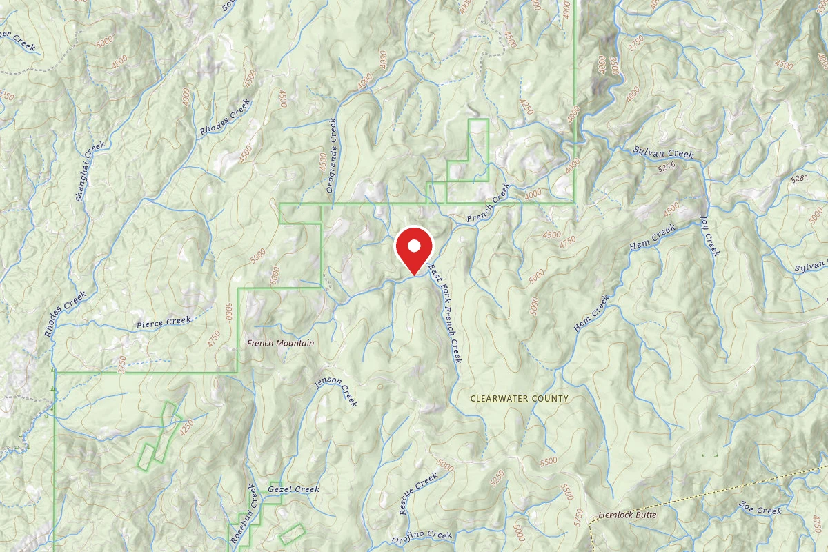 Nez Perce-Clearwater Dispersed Campsite NF250RD-002