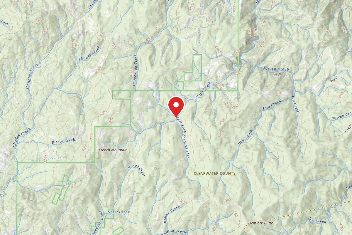Nez Perce-Clearwater Dispersed Campsite NF250RD-004