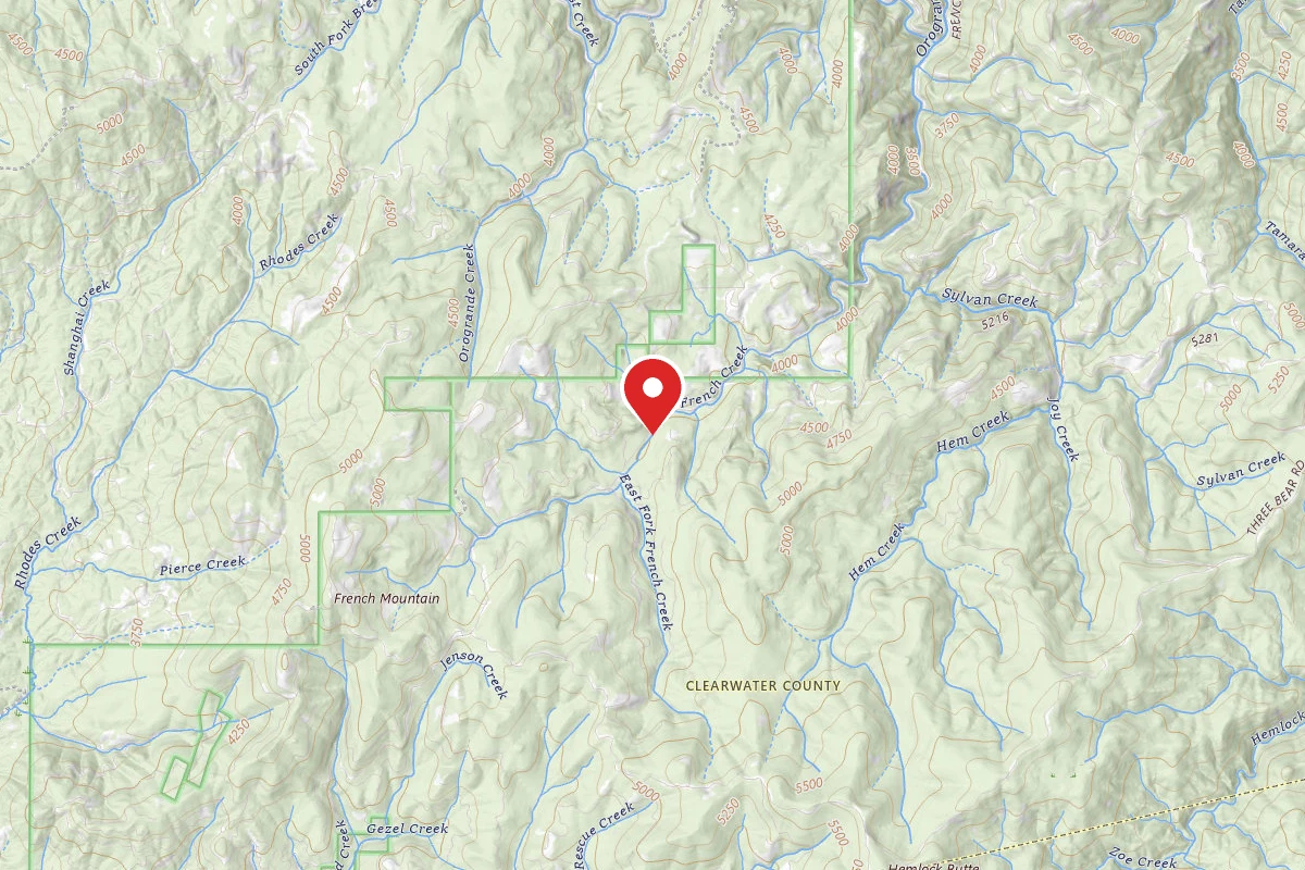 Nez Perce-Clearwater Dispersed Campsite NF250RD-005