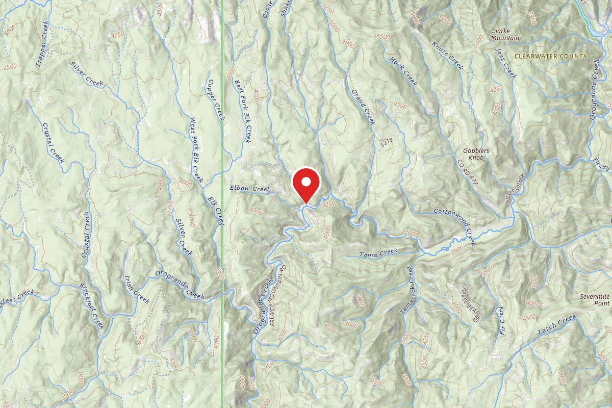 Nez Perce-Clearwater Dispersed Campsite NF250RD-013