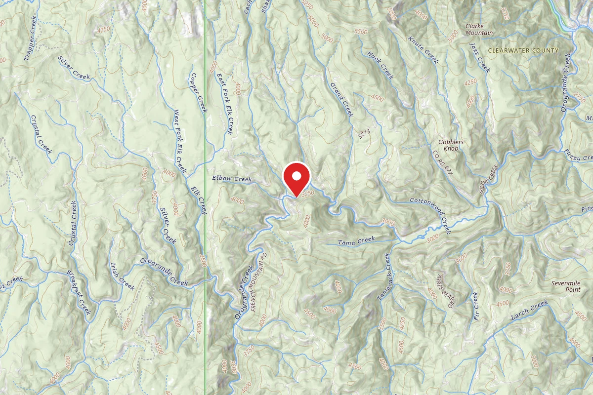 Nez Perce-Clearwater Dispersed Campsite NF250RD-014